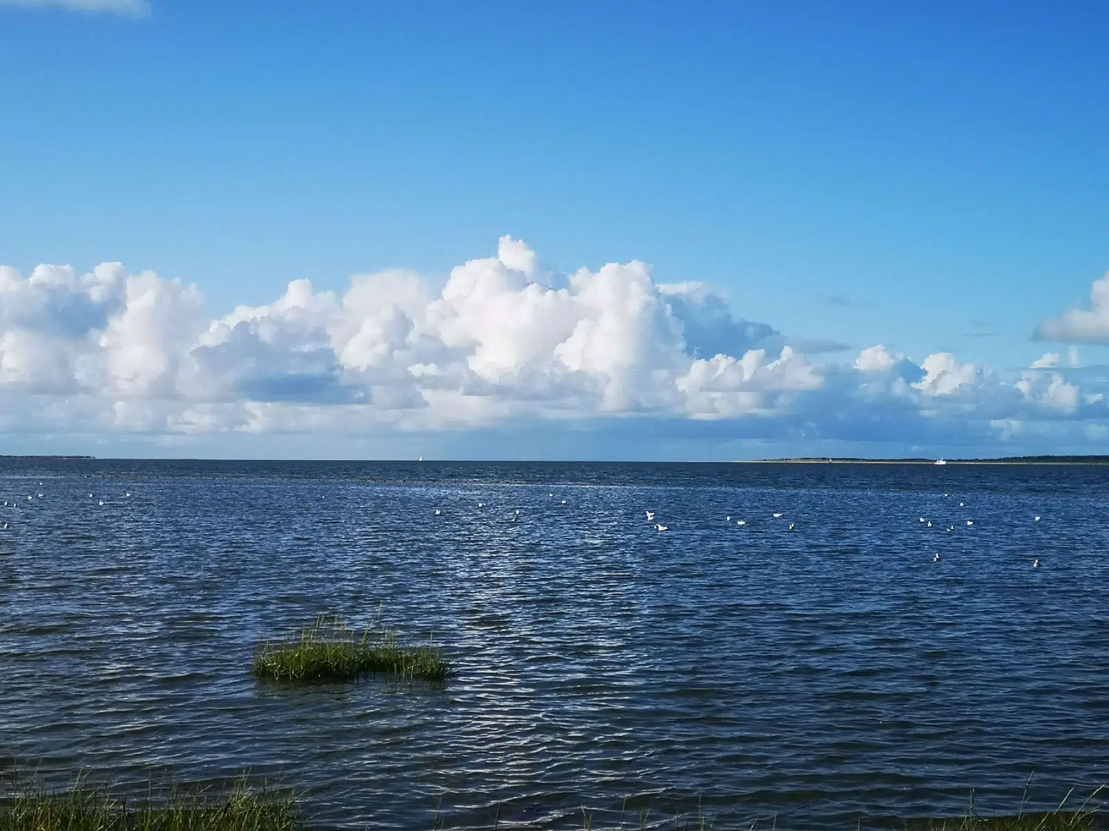 csm Nordsee Flut Dornumersiel