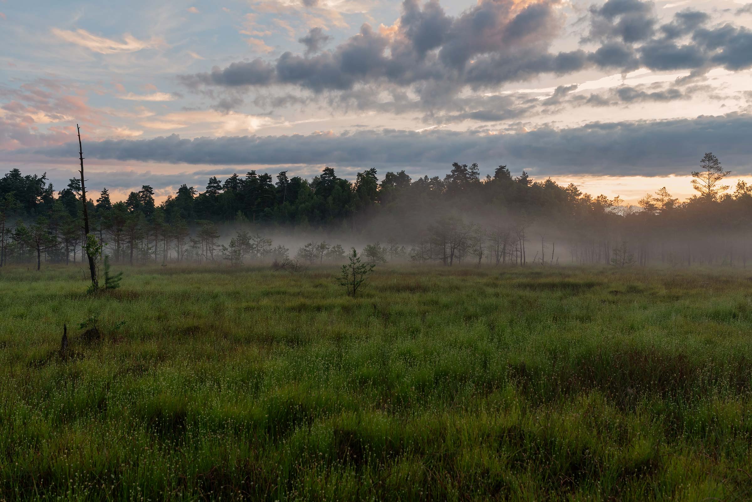 Moore und Torfabbau in Ostfriesland und rund um Dornum