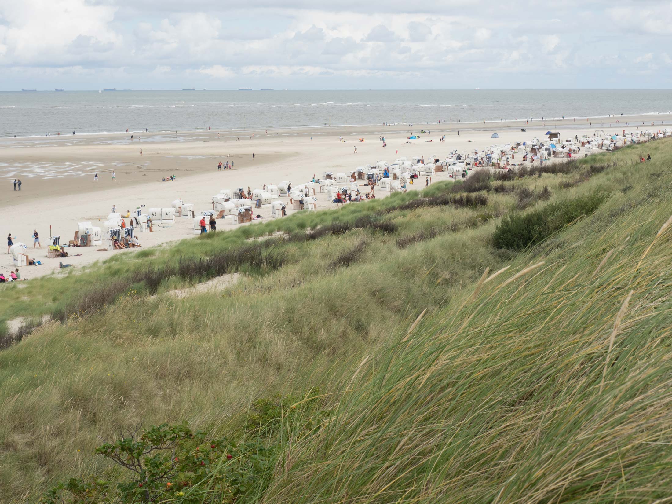 Blick von den Dünen auf den Strand von Spiekeroog mit Strandkörben und Badegästen Blick von den Dünen auf den Strand von Spiekeroog mit Strandkörben und Badegästen