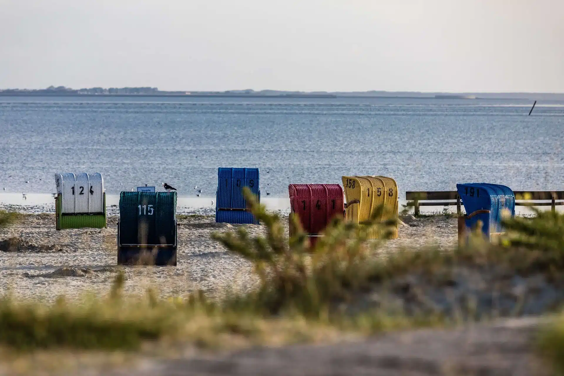 Bunter Strandkorb in Dornum an der Nordsee steht am sandigen Ufer vor Watt, Wasser und flachem Horizont. Bunter Strandkorb in Dornum an der Nordsee steht am sandigen Ufer vor Watt, Wasser und flachem Horizont.